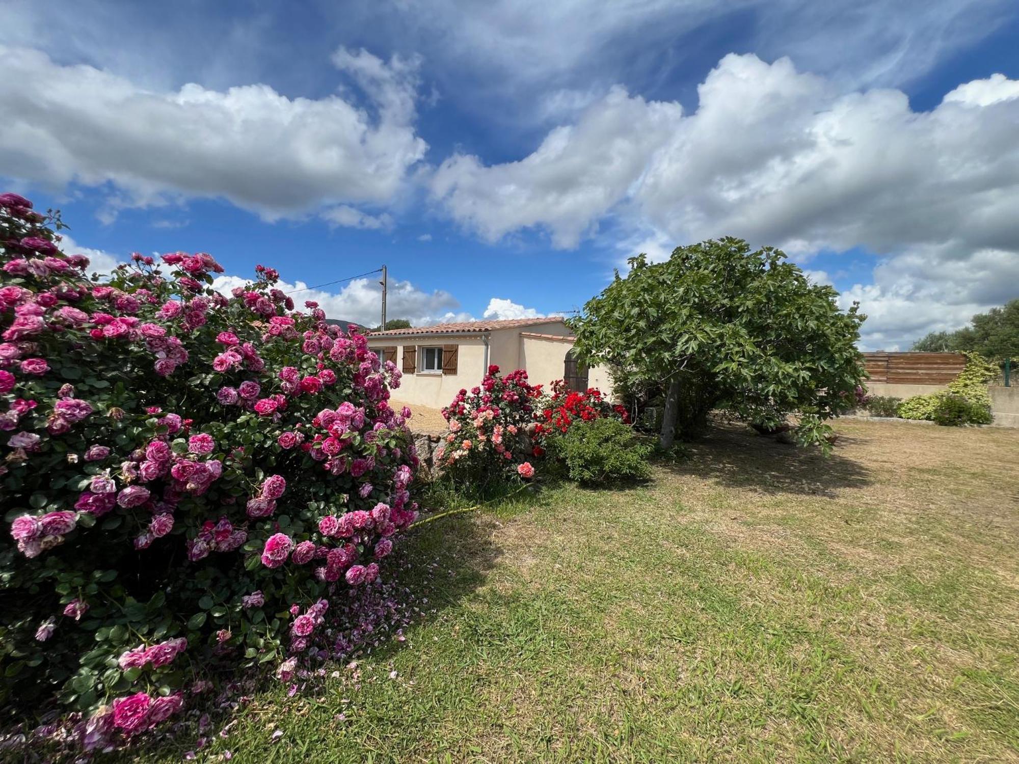 Residence Casa Favalella Porto Pollo Luaran gambar